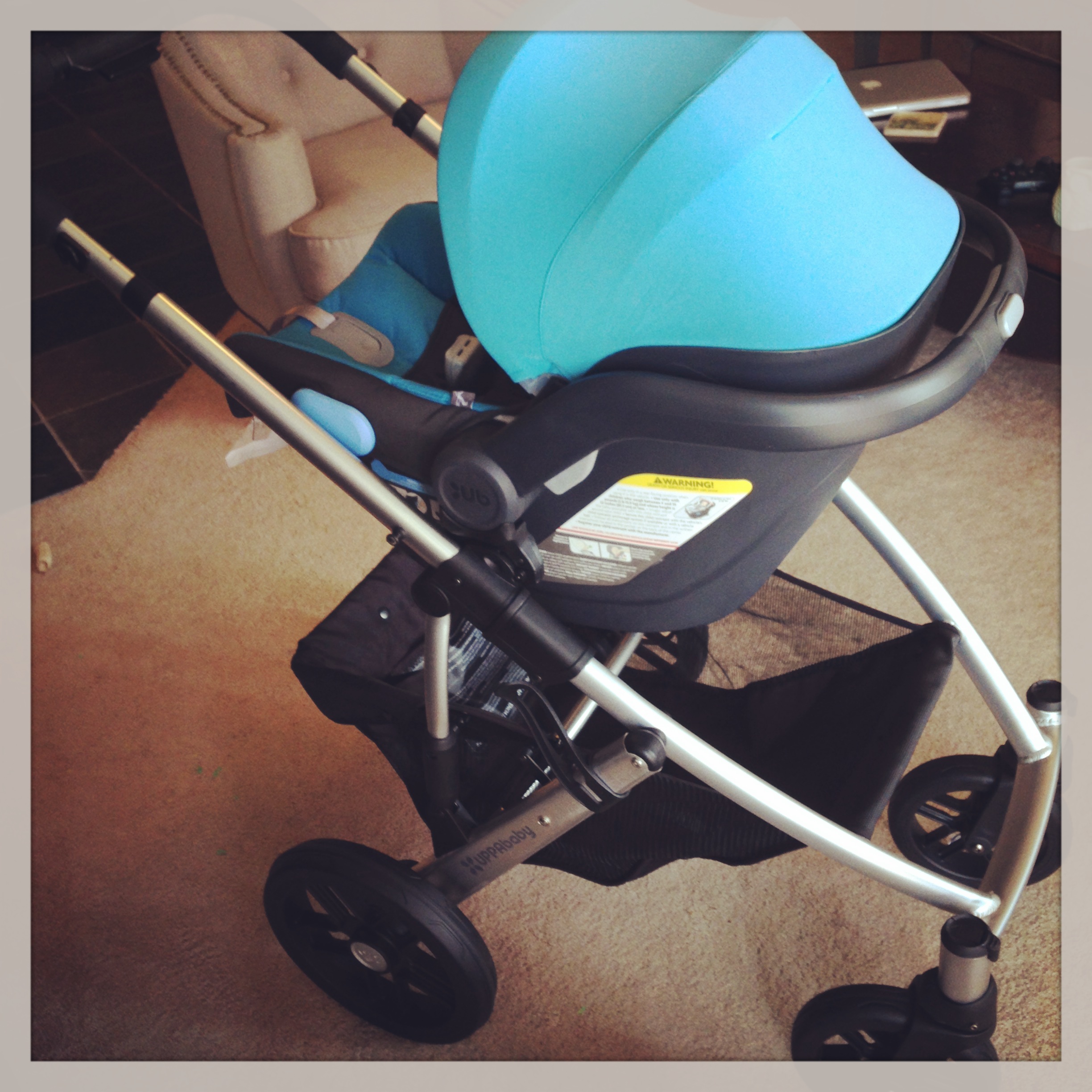 infant car seat compatible with uppababy cruz